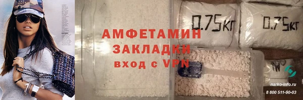 молекула духа Козловка