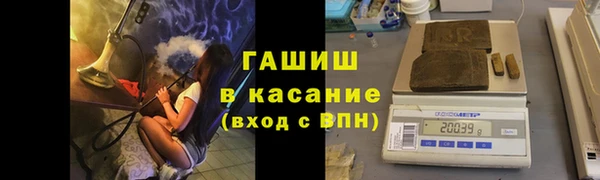 молекула духа Козловка