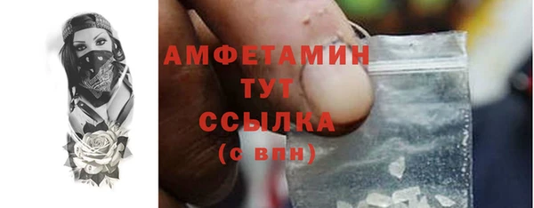 молекула духа Козловка