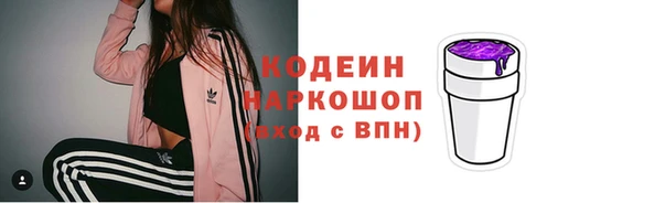 дживик Корсаков