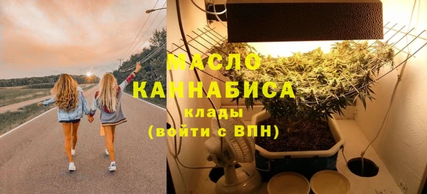 молекула духа Козловка