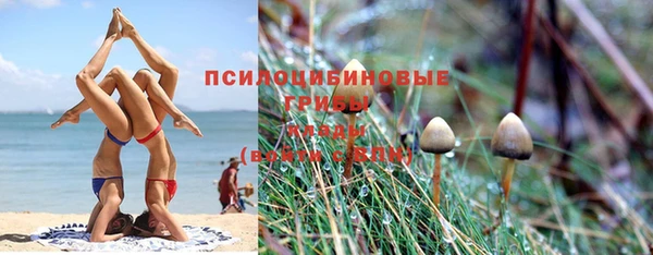 mdpv Козельск