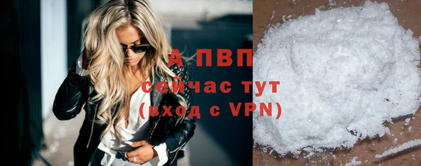молекула духа Козловка